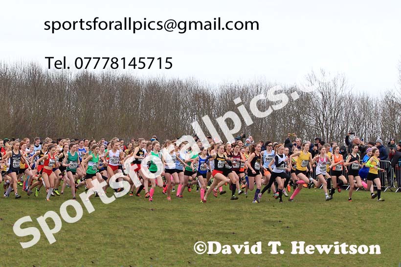 Girls Under-15s 2023 UK CAU Inter Counties Cross Country Champs, Prestwold Hall, Loughborough. Photo: David T. Hewitson/Sports for All Pics